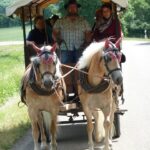 Kutschfahrt bei Fam.Günthner am 17.06 (22)