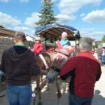 Kutschfahrt bei Fam.Günthner am 17.06 (5)