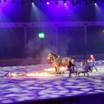Pferd Bodensee 17.02 (10)