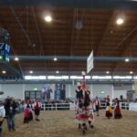 Pferd Bodensee 17.02 (19)