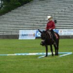 Pferd_International_14.05_3_