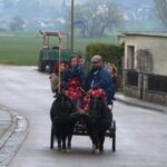 fahrtraining_09