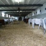 marbach_05