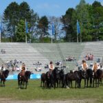 pferd_international_27