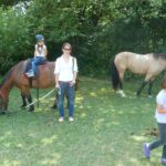 pferdesegnung_7_2012_59
