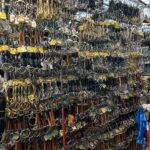 2026_pferd-bodensee_01